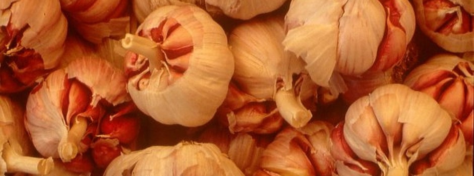 userimage