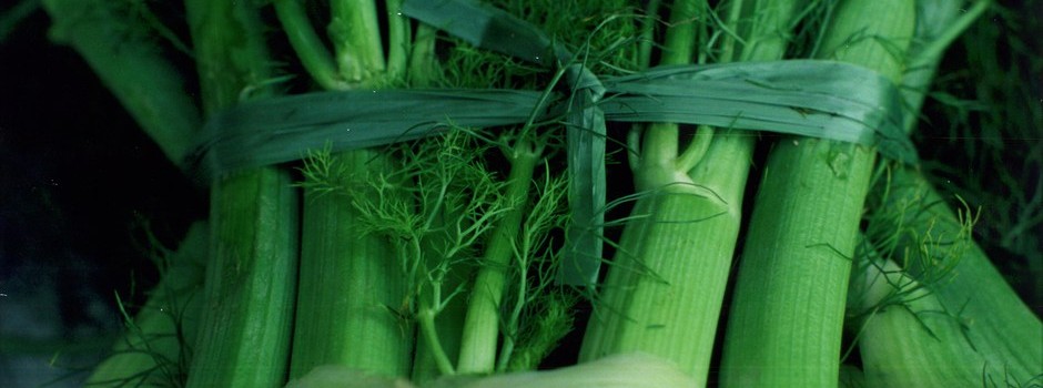 userimage
