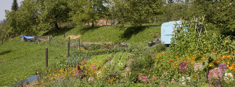userimage